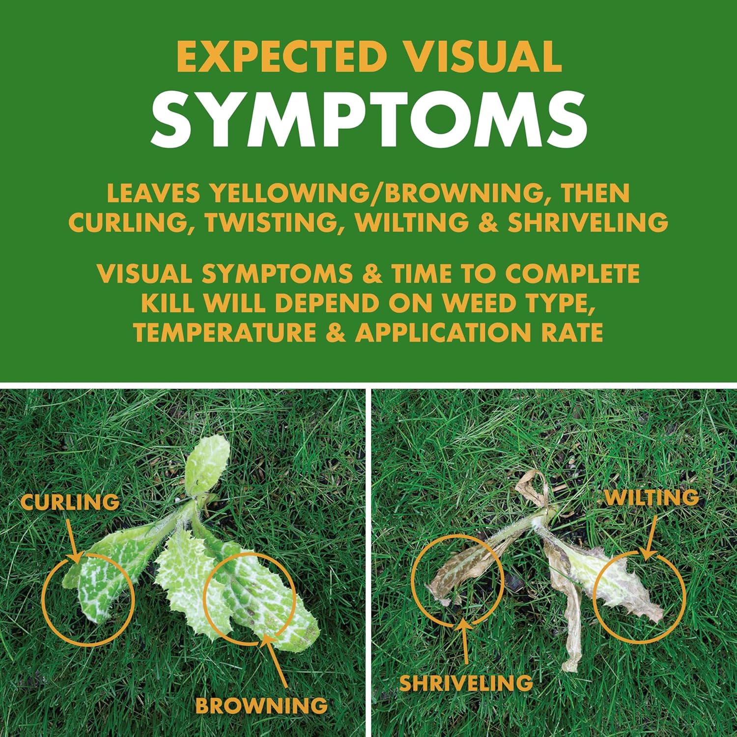 Review of Spectracide Weedstop for Lawns